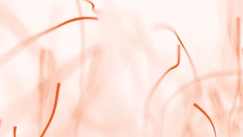 Abstract Lines 2 Video stock 161675551