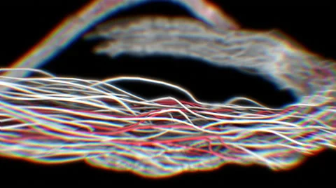 Abstract lines moving. 4K, seamless loop. Stock Footage 50081306