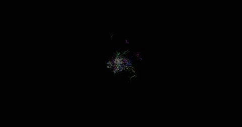 Abstract lines from particles chaotic movement, ignites an explosion on a black Stock Footage 165077185