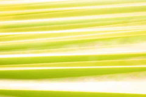 Abstract lines pattern created with intentional camera movement Stock Photos