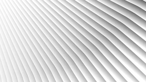 Abstract lines pattern seamless looping Stock Footage 319887047