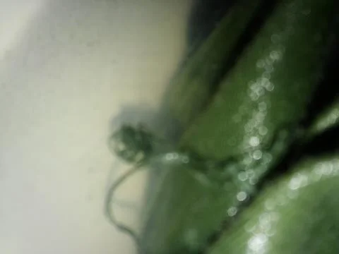 Abstract liquid background with different elements in blurry effect Stock Photos