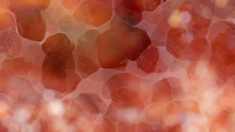 Abstract Liquid Cell Texture with Warm Orange and Brown Organic Glow Stockbeeldmateriaal 336635524