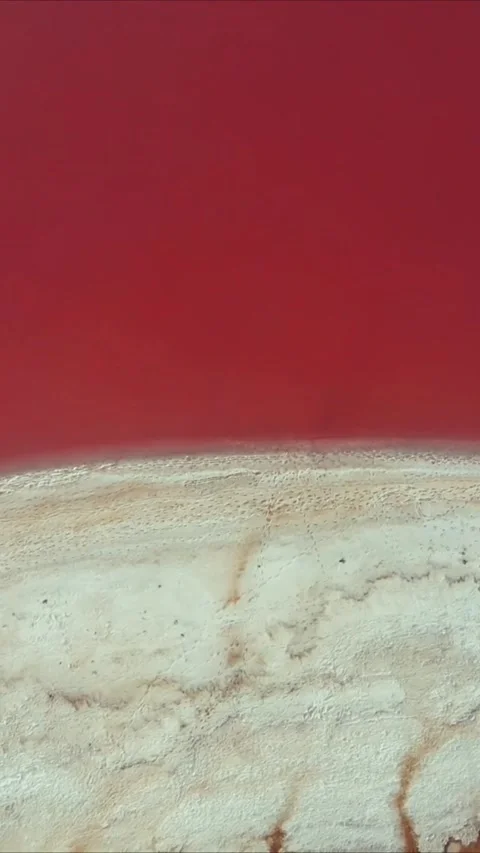Abstract liquid flow with vibrant red and blue colors moving in a smooth fluid Stock Footage 347692363