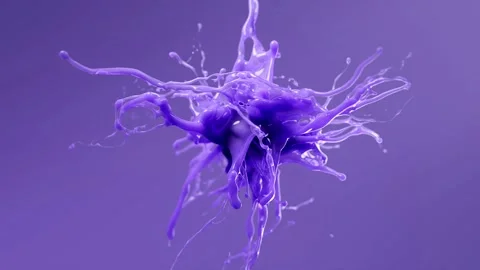 Abstract liquid fluid splash in vibrant purple color motion effect Stock Footage 327575796