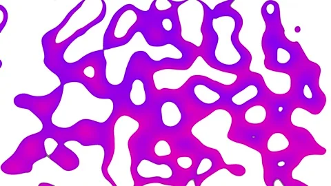 Abstract Liquid Gradient Background Animation - High Contrast Purple and Whit Stock Footage 314302174