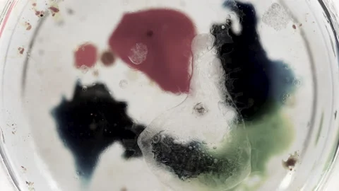 Abstract liquid motion bubbling bright colorful background texture Video stock 130989153