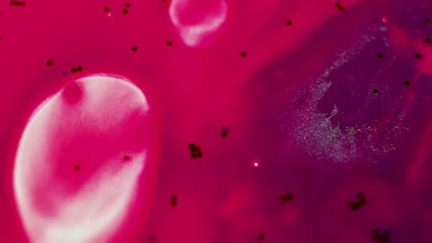 Abstract liquid pink background with gold glitter elements. Stock Footage 136595310