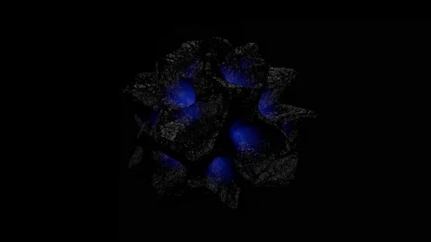 Abstract liquid shape Stock Footage 195130134