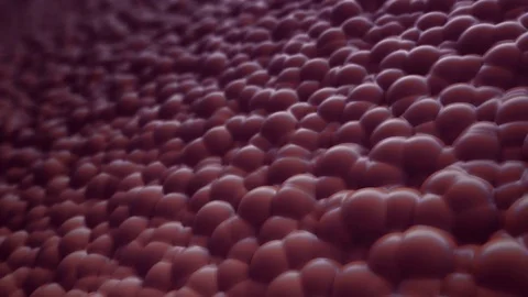 Abstract Liquid Spheres Background, 3d Loopable Animation 4k Stock Footage 72901391