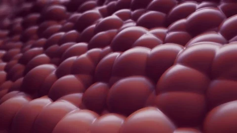 Abstract Liquid Spheres Background, 3d Loopable Animation 4k Vídeo Stock 72901698