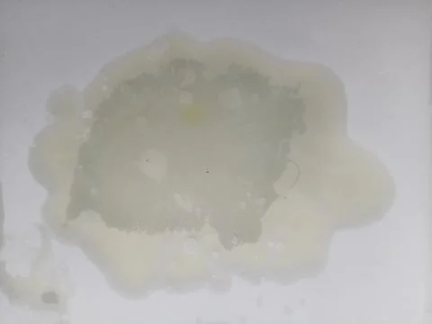 Abstract liquid stain on a white background, translucent oil spill texture .. Stock Photos