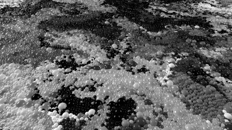 Abstract liquid video background grayscale mixing streams of bubbles particles Stock Footage 236409792