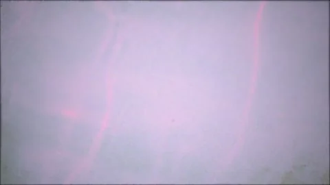 Abstract liquid water ripple texture with soft pink light reflections, dist.. 動画素材 346659321