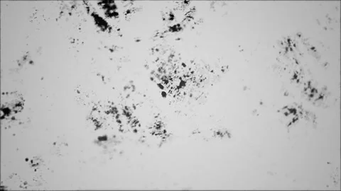 Abstract liquid water ripple texture with grunge elements, monochrome noise.. Stock Footage 346659351