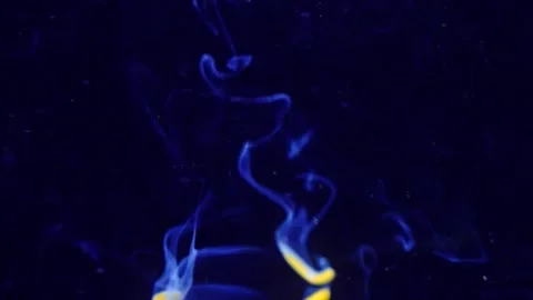 Abstract Liquify Flow – Vibrant Fluid Art Background Video stock 316384219