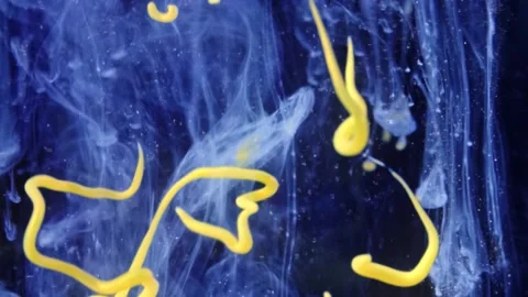 Abstract Liquify Flow – Vibrant Fluid Art Background Video stock 316384293