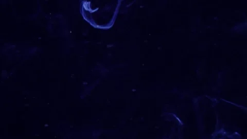 Abstract Liquify Flow – Vibrant Fluid Art Background Video stock 316384356