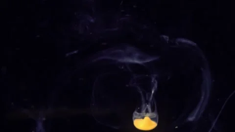 Abstract Liquify Flow – Vibrant Fluid Art Background Video stock 316384816