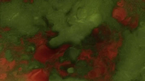 Abstract Liquify Flow – Vibrant Fluid Art Background Video stock 316385620