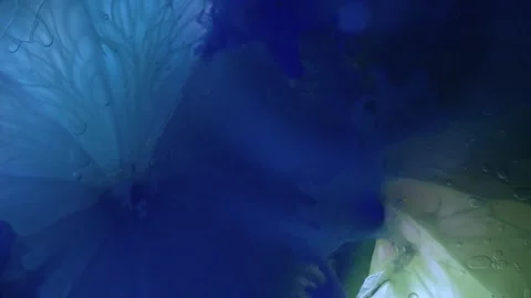 Abstract Liquify Flow – Vibrant Fluid Art Background Video stock 316386169