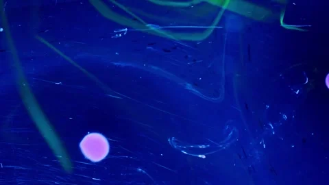 Abstract Liquify Flow – Vibrant Fluid Art Background Video stock 316386197