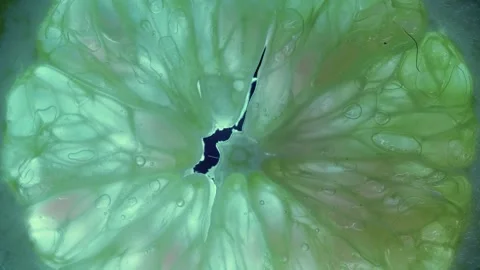 Abstract Liquify Flow – Vibrant Fluid Art Background Video stock 316386320