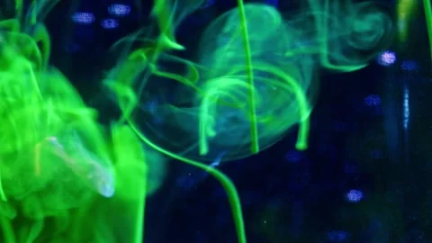 Abstract Liquify Flow – Vibrant Fluid Art Background Video stock 316386856