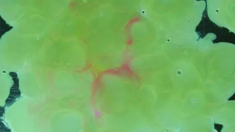 Abstract Liquify Flow – Vibrant Fluid Art Background Video stock 316386919