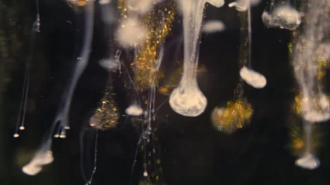 Abstract Liquify Flow – Vibrant Fluid Art Background Video stock 316387154
