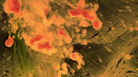 Abstract Liquify Flow – Vibrant Fluid Art Background Video stock 316387188