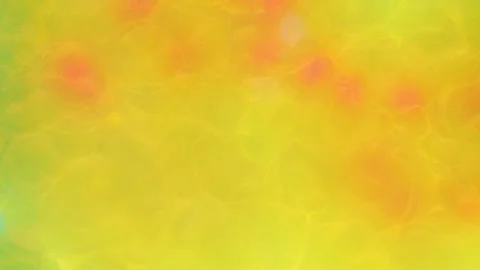 Abstract Liquify Flow – Vibrant Fluid Art Background Video stock 316387190