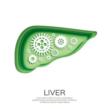 Abstract liver with gears and cogs working together in paper cut style. Origami Stock Illustration