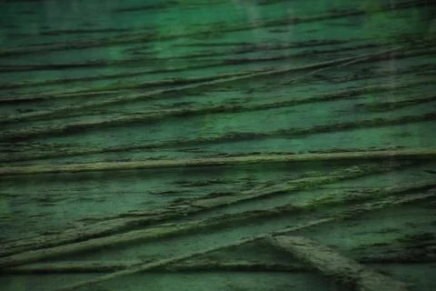 ABSTRACT- Logs Submerged in a Green Algae Filled Lake Stock Photos
