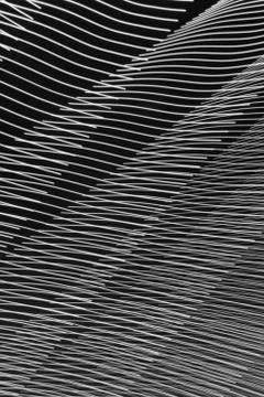 Abstract long exposure blurred light lines black and white background. Geometric Stock-Illustration