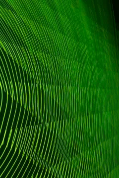 Abstract long exposure blurred light lines black and green background. Geometric Stock-Illustration