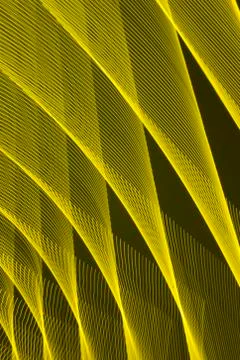 Abstract long exposure blurred light lines black and yellow background Stock-Illustration