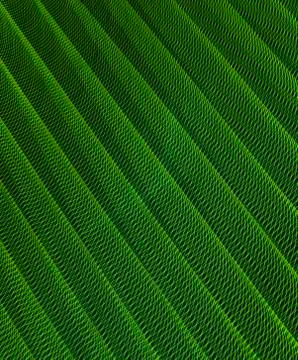 Abstract long exposure blurred light lines black and green background. Geometric Stock-Illustration