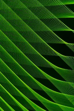 Abstract long exposure blurred light lines black and green background. Geometric Stock-Illustration
