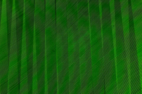 Abstract long exposure blurred light lines black and green background. Geometric Stock-Illustration