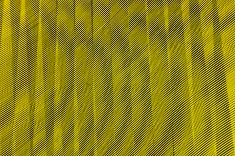 Abstract long exposure blurred light lines black and yellow background Stock-Illustration