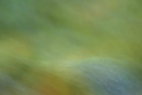 Abstract long exposure image of a forest stream flowing over stones. Stock Photos