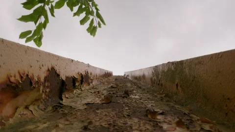 Abstract Looking Up Shot Of Juxtaposition Between Steel Bar And Tree Video stock 237695570