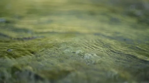 Abstract looking water flowing from a mountain stream (bokeh, slow motion) Video stock 260843773