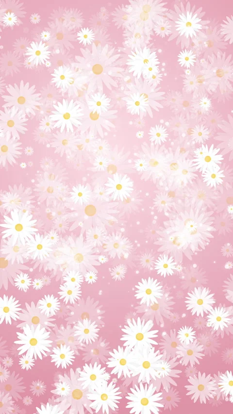 Abstract loop animation with hand drawn daisy flower on pastel pink background. Stock Footage 303436404