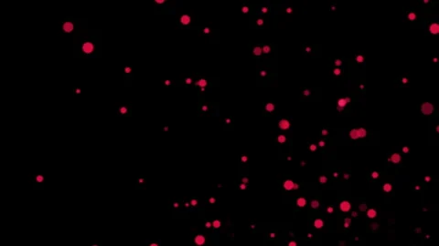 Abstract loop animation pink bokeh particles flowing on black background Stock Footage 308073746
