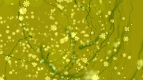 Abstract loop motion background, yellow flowers Stock Footage 37186052