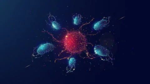 Abstract Looped Animation of Immune System Cells Fighting Virus Agent. Stock Footage 263883789
