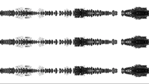 Abstract looping surreal visual movement symmetry black tree reflect water Stock Footage 221214892