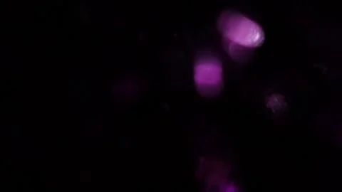 Abstract low light background in black Vídeos de archivo 318947031